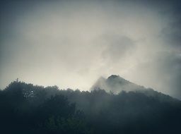 landscape of the fog on a mountain top