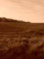 Landscape of field on a hill