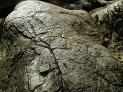 cracks in gray stone