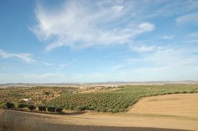 Landscape of the alentejo