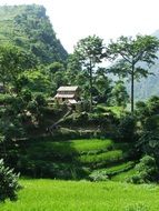 Beautiful and picturesque, green landscapes in Annapurna, Nepal