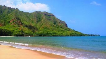 sandy coast of the calm ocean