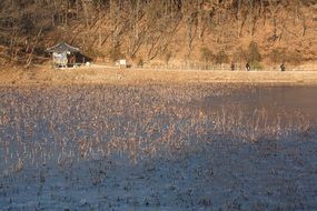 distant view of a small house on a lake