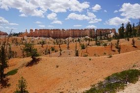 Yellow bryce canyon sky view