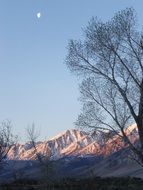 wondrous mountains trees