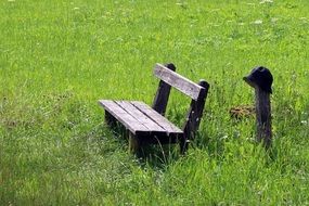 Bench in grass