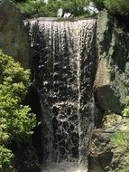 Chicago Botanic Gardens Waterfall in summer