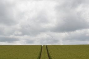 gray cloudy sky over green field