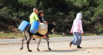 Riding on the donkey in Tunisia