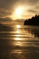 wondrous pacific ocean