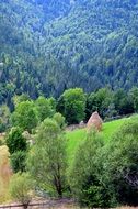 panorama of the western Romanian mountains