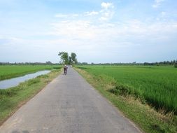 country road in the countryside