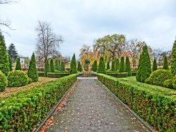 square turvid in bydgoszcz