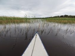 canoe on reeded lake