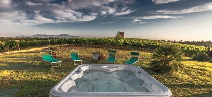 wondrous pool garden