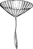 wicker basket drawing