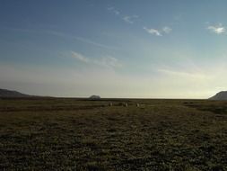 fascinating iceland on a sunny day