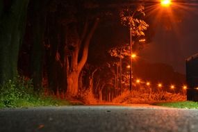 illuminated avenue at night