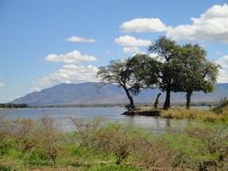 lake among the picturesque nature of zambia