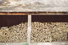 forest logs