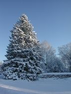 fascinating snowy winter, roslagen, sweden