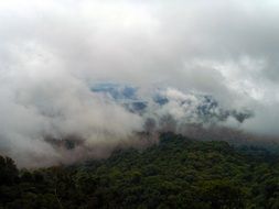 panorama of the rainforest in the fog, costa rica