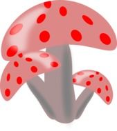 mushrooms painted as an illustration