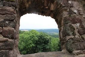 trees outside the window of a ruined castle