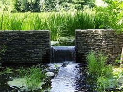 low waterfall in the reserve