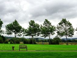 trees near a green field with a bench