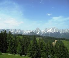 panoramic view of the mountains with coniferous trees