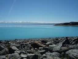 picturesque coast of new zealand on a sunny day