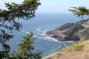 oregon coast landscape