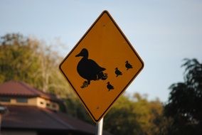 road sign with a drawing of a duck with ducklings