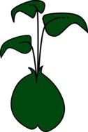 green drawing plant seed