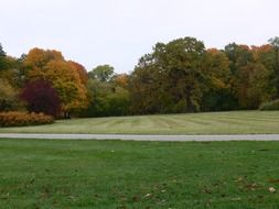 Landscape of autumnal park