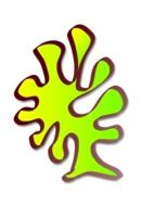 underwater coral drawed
