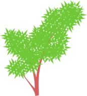 Green bush clipart