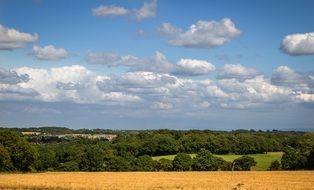 field under a cloudy sky