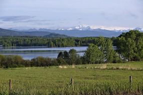 landscape photo of green forest and green fields by the river in Canada