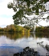 Mirroring of the trees in water