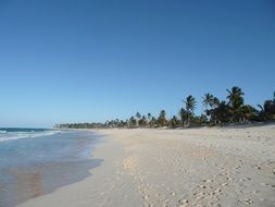 landscape of white sand beach