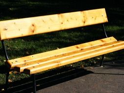 wooden bench in the park closeup