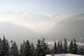 snow buried mountains behind forest, poland, tatry