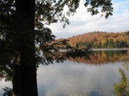autumn landscape of colorful trees on a lake bank