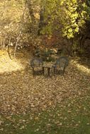 autumn garden leaves