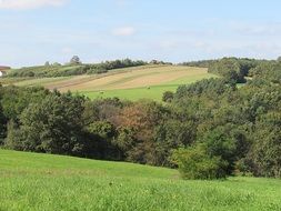 Landscape of the hill and forest
