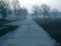 foggy morning over the trail