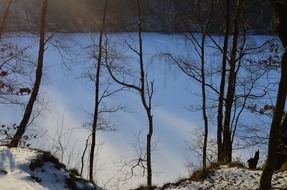 frozen lake in the winter forest