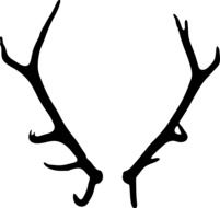 antlers on a white background